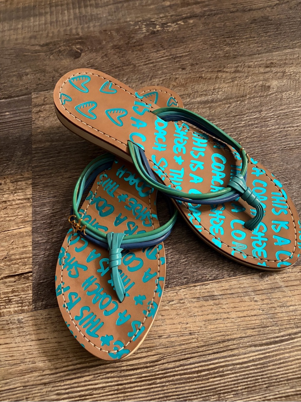 Coach Turquoise Molly Leather Graphic Thong Sandals
